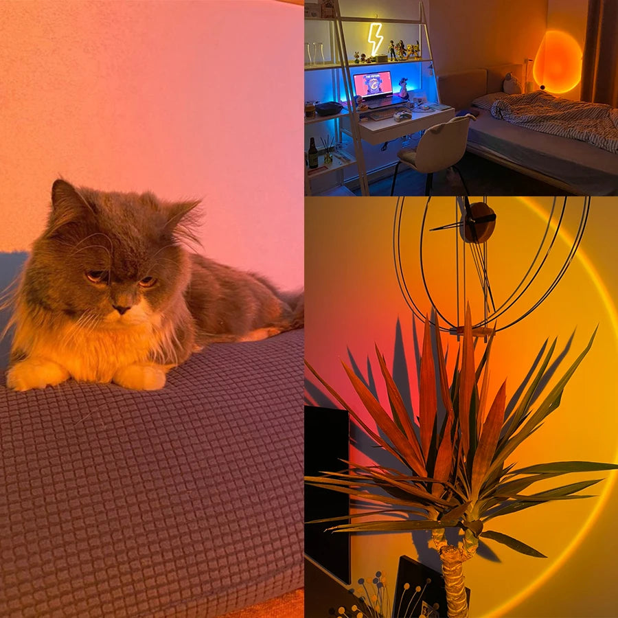 Collage of a cat, a bedroom with a desk, and a plant with a sunset background.
